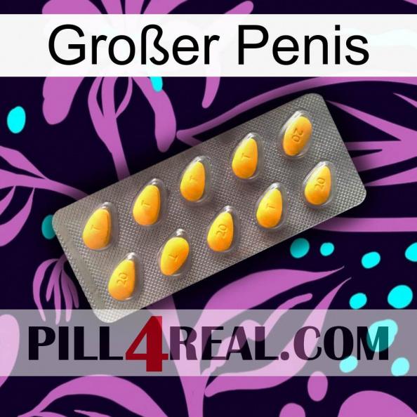 Großer Penis cialis1.jpg